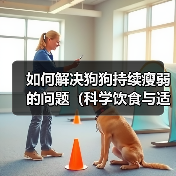 如何解决狗狗持续瘦弱的问题（科学饮食与适当锻炼是关键）（图2）