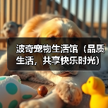 波奇宠物生活馆（品质生活，共享快乐时光）（图3）