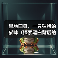 黑脸白身,一只独特的猫咪(探索黑白背后的美丽之谜)(图4) 黑脸白身,一只独特的猫咪(探索黑白背后的美丽之谜)(图4)
