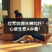 经常给猫咪喂鸡肝?小心维生素A中毒!(图3) 经常给猫咪喂鸡肝?小心维生素A中毒!(图3)