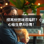 经常给猫咪喂鸡肝?小心维生素A中毒!(图2) 经常给猫咪喂鸡肝?小心维生素A中毒!(图2)