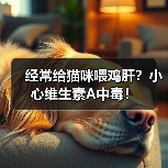 经常给猫咪喂鸡肝?小心维生素A中毒!(图4) 经常给猫咪喂鸡肝?小心维生素A中毒!(图4)