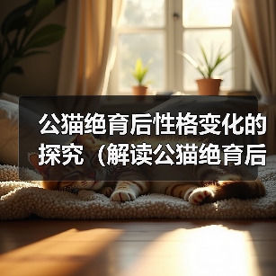 公猫绝育后性格变化的探究(解读公猫绝育后的行为调整及心理影响)(图3) 公猫绝育后性格变化的探究(解读公猫绝育后的行为调整及心理影响)(图3)