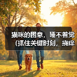 猫咪的困意，睡不着觉（抓住关键时刻，挠痒痒解困）（图3）