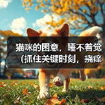 猫咪的困意，睡不着觉（抓住关键时刻，挠痒痒解困）（图1）