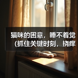 猫咪的困意，睡不着觉（抓住关键时刻，挠痒痒解困）（图2）