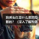 狗舌头红是什么原因导致的?(深入了解狗舌头红的相关问题)(图3) 狗舌头红是什么原因导致的?(深入了解狗舌头红的相关问题)(图3)