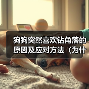 狗狗突然喜欢钻角落的原因及应对方法（为什么狗狗会喜欢钻角落？如何正确应对？）（图1）