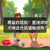高蛋白增肌!星速烘焙犬粮适合肠道敏感狗?评测来了(图4) 高蛋白增肌!星速烘焙犬粮适合肠道敏感狗?评测来了(图4)