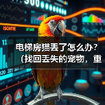 电梯房猫丢了怎么办?(找回丢失的宠物,重拾失去的温暖)(图3) 电梯房猫丢了怎么办?(找回丢失的宠物,重拾失去的温暖)(图3)