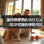 猫猫肠梗阻的治疗方法（解决猫猫肠梗阻问题的有效措施）（图2）