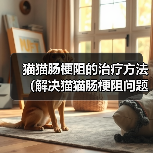 猫猫肠梗阻的治疗方法（解决猫猫肠梗阻问题的有效措施）（图1）