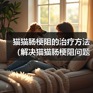 猫猫肠梗阻的治疗方法（解决猫猫肠梗阻问题的有效措施）（图3）