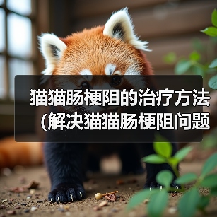 猫猫肠梗阻的治疗方法（解决猫猫肠梗阻问题的有效措施）（图4）