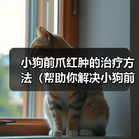 小狗前爪红肿的治疗方法（帮助你解决小狗前爪红肿的问题）（图3）
