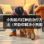 小狗前爪红肿的治疗方法（帮助你解决小狗前爪红肿的问题）（图1）