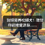 别轻易养松狮犬！除非你能接受这些……