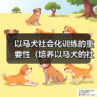 以马犬社会化训练的重要性(培养以马犬的社会适应能力,让它成为理想的家庭伴侣)(图2) 以马犬社会化训练的重要性(培养以马犬的社会适应能力,让它成为理想的家庭伴侣)(图2)