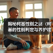 揭秘柯基性别之谜（柯基的性别判定与养护建议）（图4）
