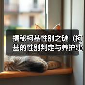 揭秘柯基性别之谜（柯基的性别判定与养护建议）（图3）
