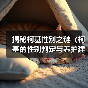 揭秘柯基性别之谜（柯基的性别判定与养护建议）（图1）