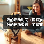 猫的活动时间（探索猫咪的运动极限，了解猫的充沛精力）（图3）