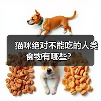 猫咪绝对不能吃的人类食物有哪些？（图4）