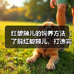 红靛颏儿的饲养方法（了解红靛颏儿，打造完美宠物生活）