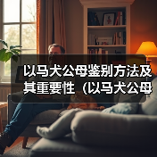 以马犬公母鉴别方法及其重要性（以马犬公母如何区分及其在养殖中的应用）（图4）