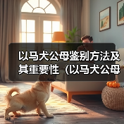 以马犬公母鉴别方法及其重要性（以马犬公母如何区分及其在养殖中的应用）（图2）