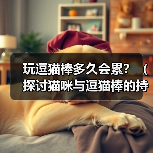 玩逗猫棒多久会累?(探讨猫咪与逗猫棒的持久战)(图2) 玩逗猫棒多久会累?(探讨猫咪与逗猫棒的持久战)(图2)