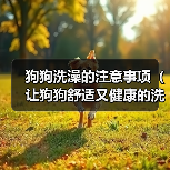狗狗洗澡的注意事项（让狗狗舒适又健康的洗澡技巧）