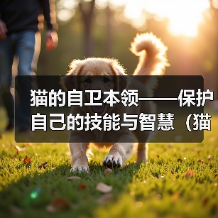 猫的自卫本领——保护自己的技能与智慧（猫的本领与独特能力，如何让它们保护自己）（图3）