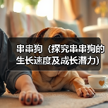 串串狗（探究串串狗的生长速度及成长潜力）（图4）