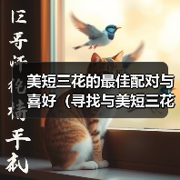 美短三花的最佳配对与喜好(寻找与美短三花最和谐的伴侣猫种)(图1) 美短三花的最佳配对与喜好(寻找与美短三花最和谐的伴侣猫种)(图1)