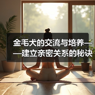 金毛犬的交流与培养——建立亲密关系的秘诀（打造理想金毛伙伴，从交流开始）（图2）