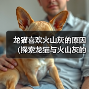 龙猫喜欢火山灰的原因(探索龙猫与火山灰的特殊关系)(图1) 龙猫喜欢火山灰的原因(探索龙猫与火山灰的特殊关系)(图1)