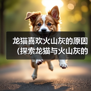 龙猫喜欢火山灰的原因(探索龙猫与火山灰的特殊关系)(图4) 龙猫喜欢火山灰的原因(探索龙猫与火山灰的特殊关系)(图4)