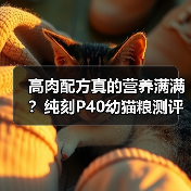 高肉配方真的营养满满？纯刻P40幼猫粮测评揭秘（图3）
