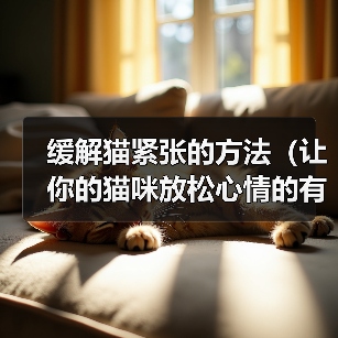 缓解猫紧张的方法（让你的猫咪放松心情的有效途径）（图3）