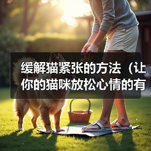 缓解猫紧张的方法（让你的猫咪放松心情的有效途径）（图2）