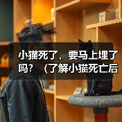小猫死了，要马上埋了吗？（了解小猫死亡后的处理方式及其重要性）（图1）