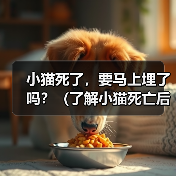 小猫死了，要马上埋了吗？（了解小猫死亡后的处理方式及其重要性）（图3）