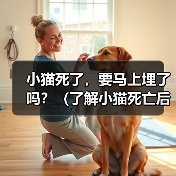 小猫死了，要马上埋了吗？（了解小猫死亡后的处理方式及其重要性）（图2）