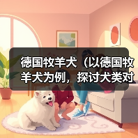 德国牧羊犬(以德国牧羊犬为例,探讨犬类对主人的保护本能)(图3) 德国牧羊犬(以德国牧羊犬为例,探讨犬类对主人的保护本能)(图3)
