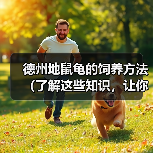 德州地鼠龟的饲养方法（了解这些知识，让你的德州地鼠龟健康快乐成长）（图2）