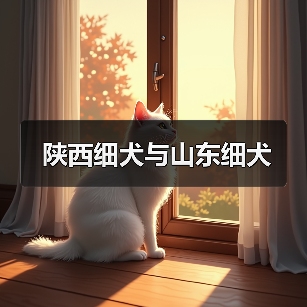 陕西细犬与山东细犬(图3) 陕西细犬与山东细犬(图3)
