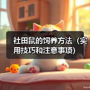社田鼠的饲养方法（实用技巧和注意事项）
