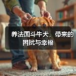 养法国斗牛犬，带来的困扰与幸福（图1）