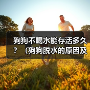 狗狗不喝水能存活多久？（狗狗脱水的原因及应对方法）（图4）